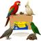 Show in main carousel: Birds LOVE Natural Cuttlebone Calcium Block Supplement for Birds, Tortoise & Snails, 7.5 to 8-in, 39 count slide 1 of 8