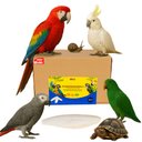 Birds LOVE Natural Cuttlebone Calcium Block Supplement for Birds, Tortoise & Snails, 7.5 to 8-in, 39 count