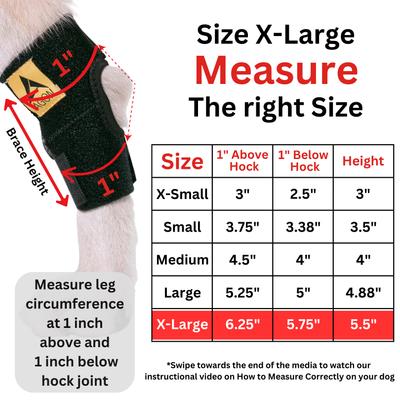 Show full view: Agon Rear Leg Dog Brace, X-Large slide 5 of 5