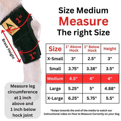 Show full view: Agon Rear Leg Dog Brace, Medium slide 6 of 6