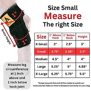 Agon Rear Leg Dog Brace, Small