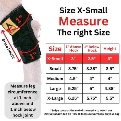 Show full view: Agon Rear Leg Dog Brace, X-Small slide 7 of 7