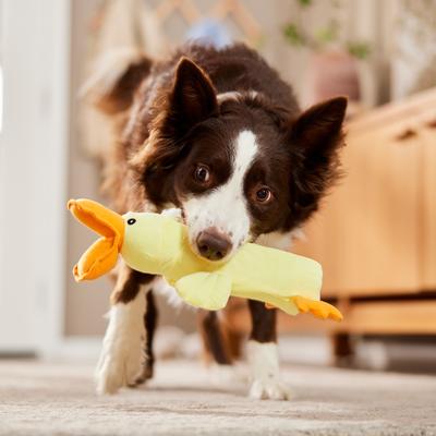 Show full view: Ethical Pet Crunch & Squeak Plush Bottle Dog Toy, Character Varies slide 4 of 4