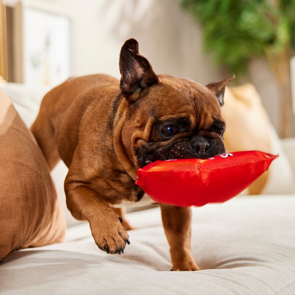 Ethical Pet Fun Food Lazy Doggie Chips Squeaky Plush Dog Toy