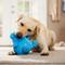 Show in main carousel: Caitec Chuckle Bellies Dog Dog Toy slide 5 of 6