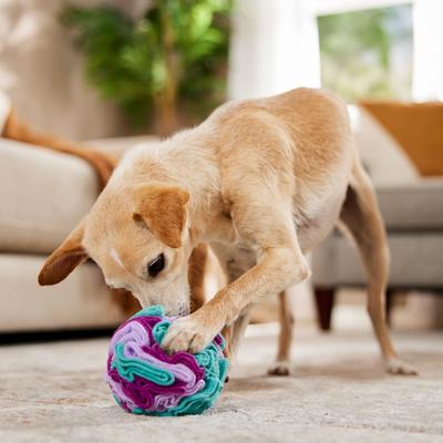 Show full view: fouFIT Hide 'n Seek Snuffle Ball Dog Toys, Pink, Small slide 4 of 5