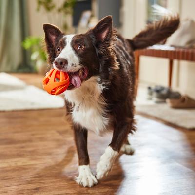 Show full view: Chuckit! Air Fetch Ball Dog Toy, X-Large slide 5 of 7