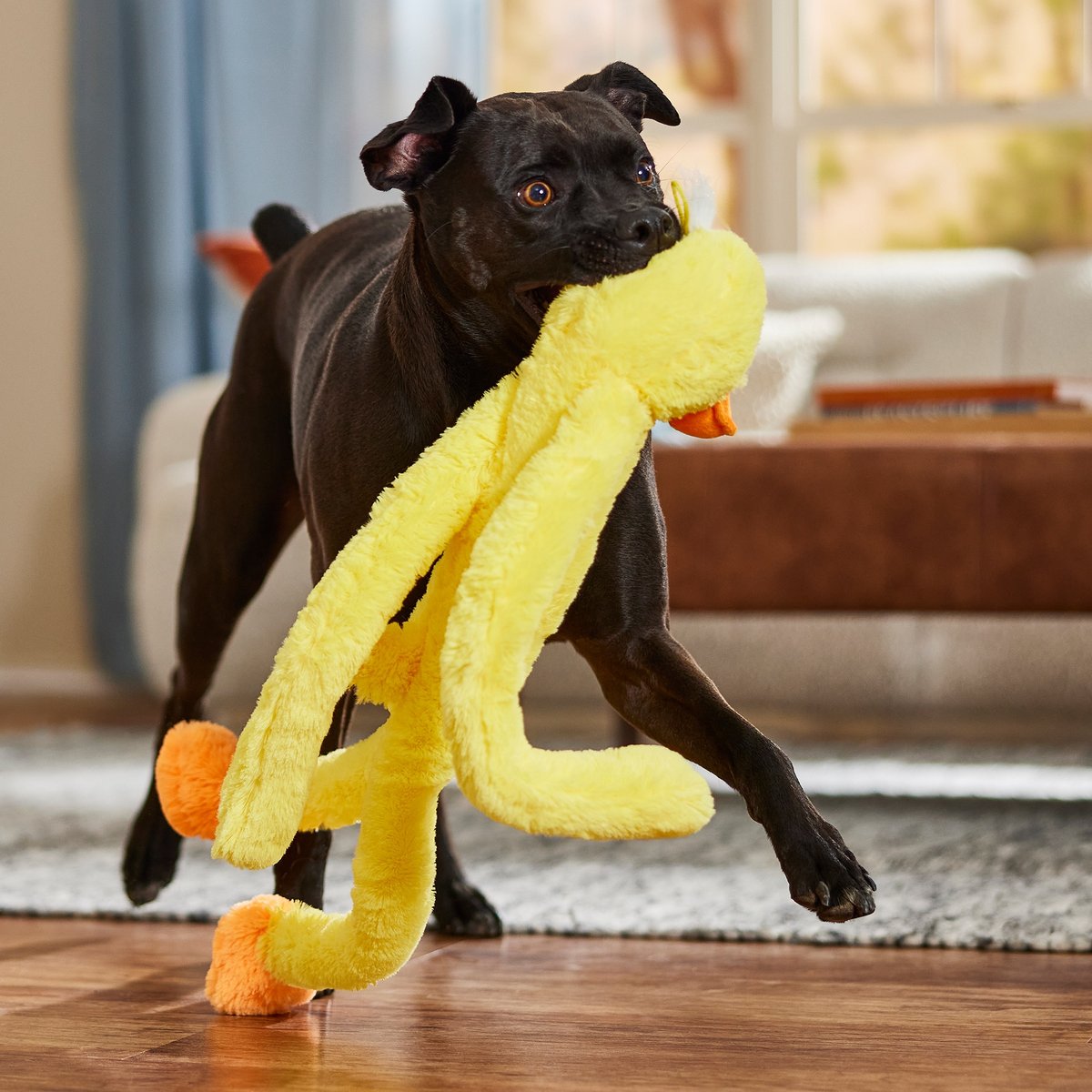 Multipet Swingin Slevins Assorted Animals Plush Dog Toy, Character Varies