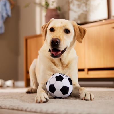 Show full view: ZippyPaws SportsBallz Soccer Dog Toy slide 4 of 6