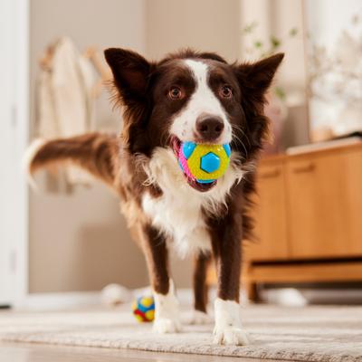 Show full view: Multipet Theo 8 Squeaker TPR Dog Ball Toy, Color Varies, 3-in, 1 count slide 4 of 5