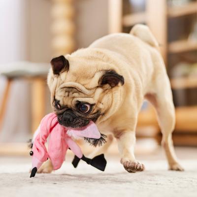 Show full view: Ethical Pet Mini Skinneeez Pink Flamingo Stuffing-Free Squeaky Plush Dog Toy slide 5 of 5