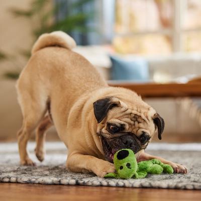 Show full view: Multipet Minipet Loofa Squeaker Mat Plush Dog Toy, Color Varies, 6-in, 1 count slide 5 of 6