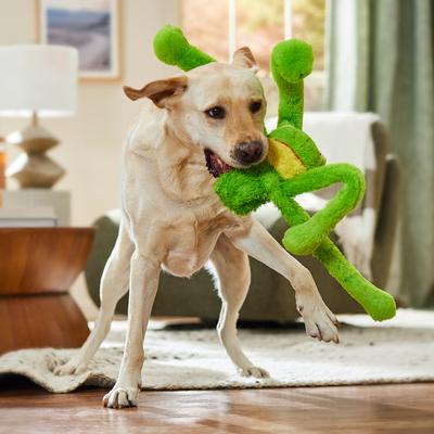 Show full view: Multipet Swingin Slevins Squeaky Plush Dog Toy, Frog slide 4 of 5