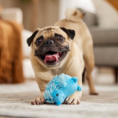 Show full view: Multipet Minipet Hedgehog Squeaky Plush Dog Toy, Color Varies, 4-in, 1 count slide 4 of 5