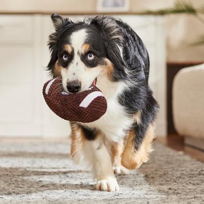 Show full view: ZippyPaws SportsBallz Football Dog Toy slide 4 of 5