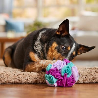 Show full view: fouFIT Hide 'n Seek Snuffle Ball Dog Toys, Pink, Large slide 4 of 5