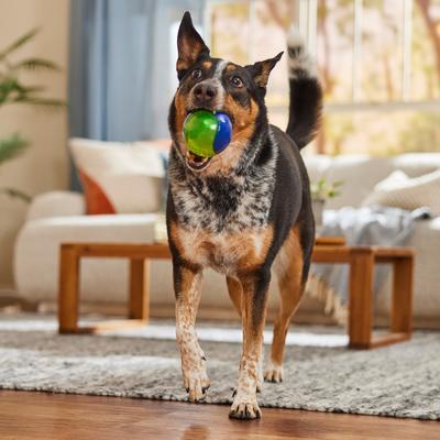 Show full view: Nerf Dog Light Up LED Blaze Tennis Ball Dog Toy, 3.25-in slide 4 of 5