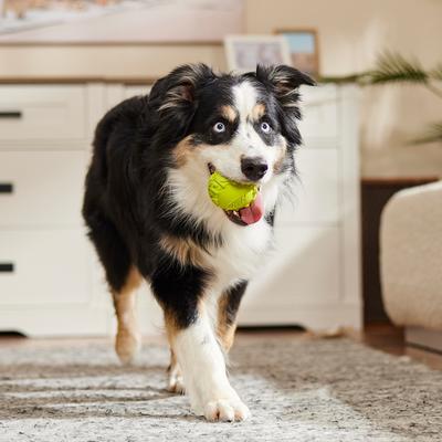 Show full view: Nerf Dog Squeaker Tire Ball Dog Toy, Green slide 4 of 6