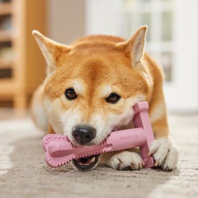 Show full view: BulliBone Superbrush Peppermint Flavor Dog Chew Toy, Large, 1 count slide 5 of 7