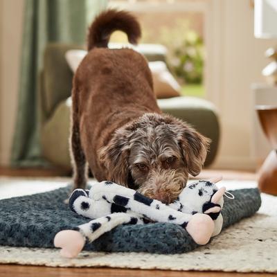Show full view: Multipet Swingin' Slevin Oversized Spotted Cow Squeaky Plush Dog Toy, XX-Large slide 4 of 5