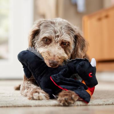 Show full view: P.L.A.Y. Pet Lifestyle and You Mythical Creatures Dragon Squeaky Plush Dog Toy, Large slide 4 of 6