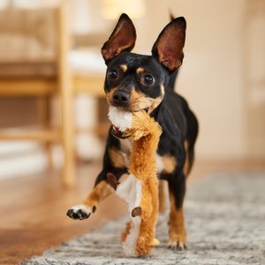 Ethical Pet Skinneeez Forest Series Fox Stuffing-Free Squeaky Plush Dog Toy, 14-in