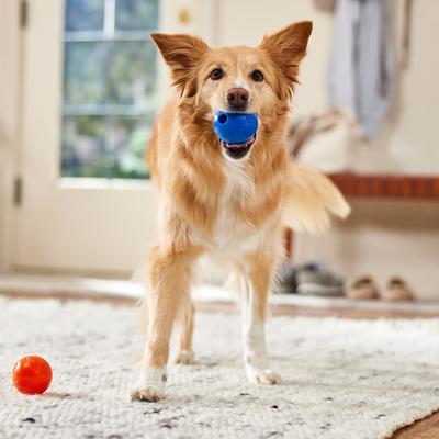 Show full view: Chuckit! Strato Ball Dog Toy, Medium, 2-pack slide 4 of 6