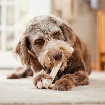 Show full view: BulliBone Nylon Beef Flavor Dental Dog Chew Toy, X-Large, 2 count slide 5 of 8