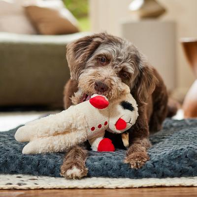 Show full view: Multipet Standing Lamb Chop Squeaky Plush Dog Toy slide 4 of 6