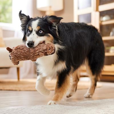 Show full view: Spunky Pup Tough Plush Dog Toy, Gray, Hippo slide 4 of 5