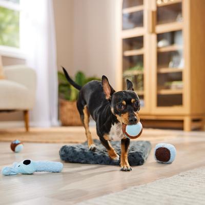Show full view: Dog is Good Play The Field Gift Pack Dog Toys, 4 pack slide 6 of 7