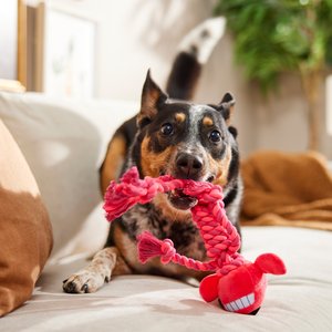 Multipet Loofa with Rope Body Squeaky Ropes Tug Dog Toy, Color Varies, 10.5-in, 1 count