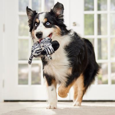 Show full view: Spunky Pup Tough Plush Dog Toy, White & Black, Zebra slide 5 of 6