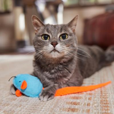 Show full view: Turbo Tail Cat Toy, Rattle Mouse slide 4 of 5