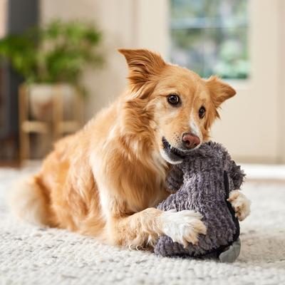 Show full view: Spunky Pup Tough Plush Dog Toy, Gray, Elephant slide 4 of 5