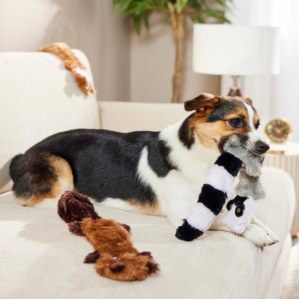 ZippyPaws Skinny Peltz Dog Toy