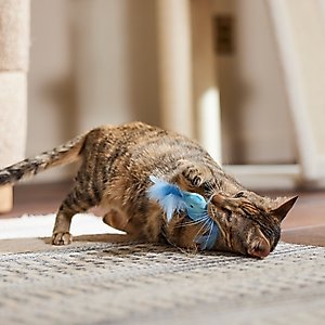 Turbo Random Fun Cat Toy with Catnip, Feather Fish