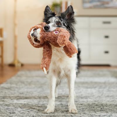 Show full view: Ethical Pet Fun Sloth Squeaky Plush Dog Toy, Color Varies, 13-in slide 5 of 6