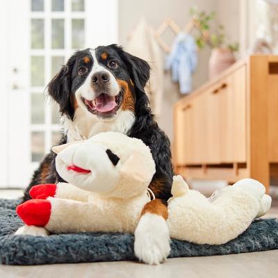 Multipet Lamb Chop Squeaky Plush Dog Toy