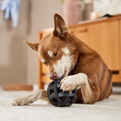 Show full view: JW Pet Hol-ee Roller X Extreme Dog Toy, Color Varies slide 5 of 8