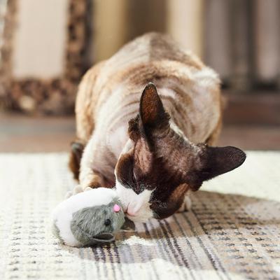 Show full view: Turbo Vibrating Cat Toy with Catnip, Mouse slide 4 of 5