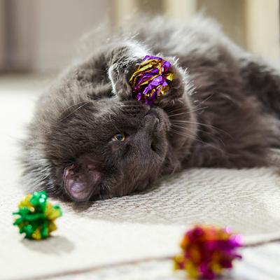 Show full view: Turbo Krinkle Balls Cat Toy, 4 count slide 4 of 5