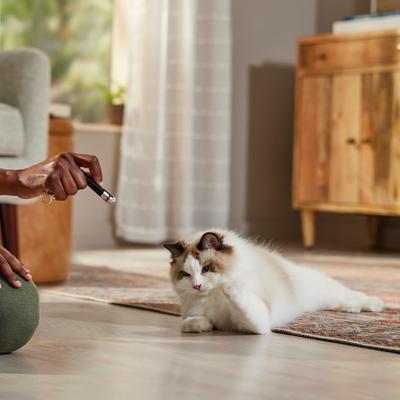 Show full view: Ethical Pet Spot Laser Classic 5-In-1 Dog & Cat Toy slide 4 of 5