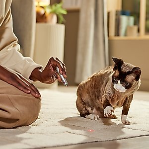 Ethical Pet Spot Single Dot Laser Dog & Cat Toy
