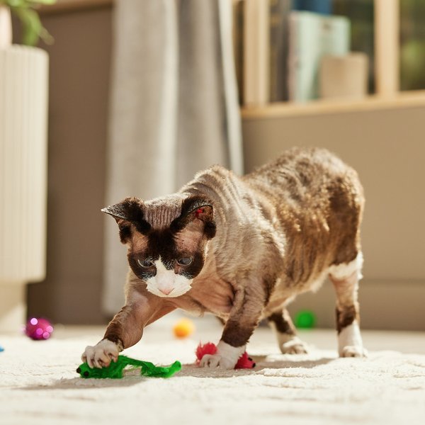 MULTIPET Value Pack Cat Toy, Assorted Colors, 24-pack