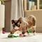 Show in main carousel: Multipet Value Pack Cat Toy, Assorted Colors, 24-pack slide 6 of 7