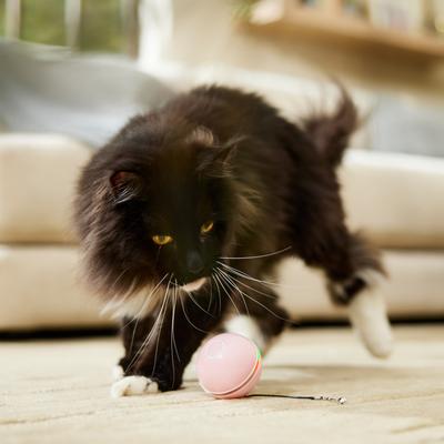 Show full view: EYS Rolling Ball Motion & Chasing with LED light Cat Toy, Pink slide 5 of 7