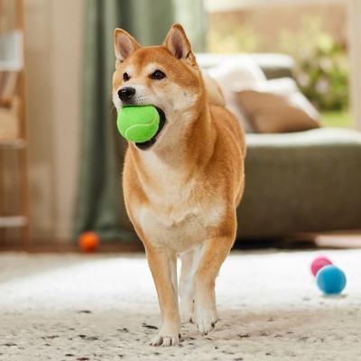 Show full view: Spunky Pup Bucket of Tennis Balls Dog Toy, 20 count slide 4 of 5