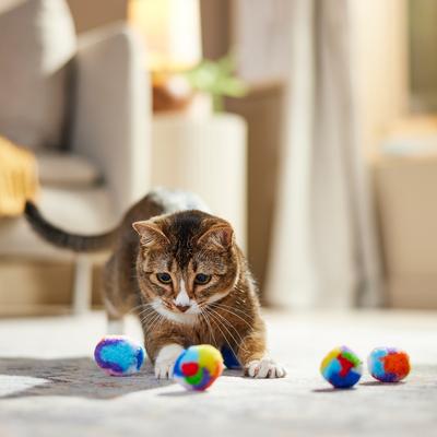 Show full view: Ethical Pet Kitty Yarn Puffs Small Balls Cat Toy with Catnip, Color Varies, 1.5-in, 4 count slide 4 of 5