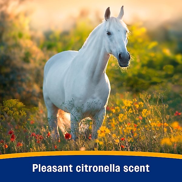 Show full view: Farnam Bronco e Citronella Scented Equine Fly Spray, 32-fl oz bottle slide 3 of 11